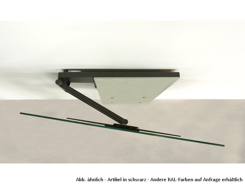 Wissmann plate art 117-S TV Wandhalterung schwenkbar