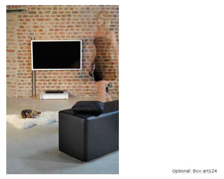Wissmann solution art123-2 TV Wandhalterung schwenkbar, 52-60 Zoll