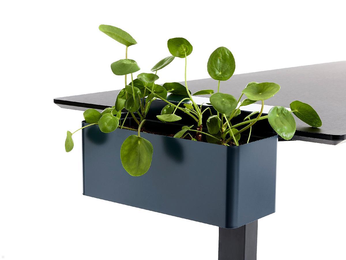 APTO FLOWERBOX Blumenkasten 397x194mm mit Tischklemmen, marineblau APTO FLOWERBOX Blumenkasten 397x194mm mit Tischklemmen, marineblau