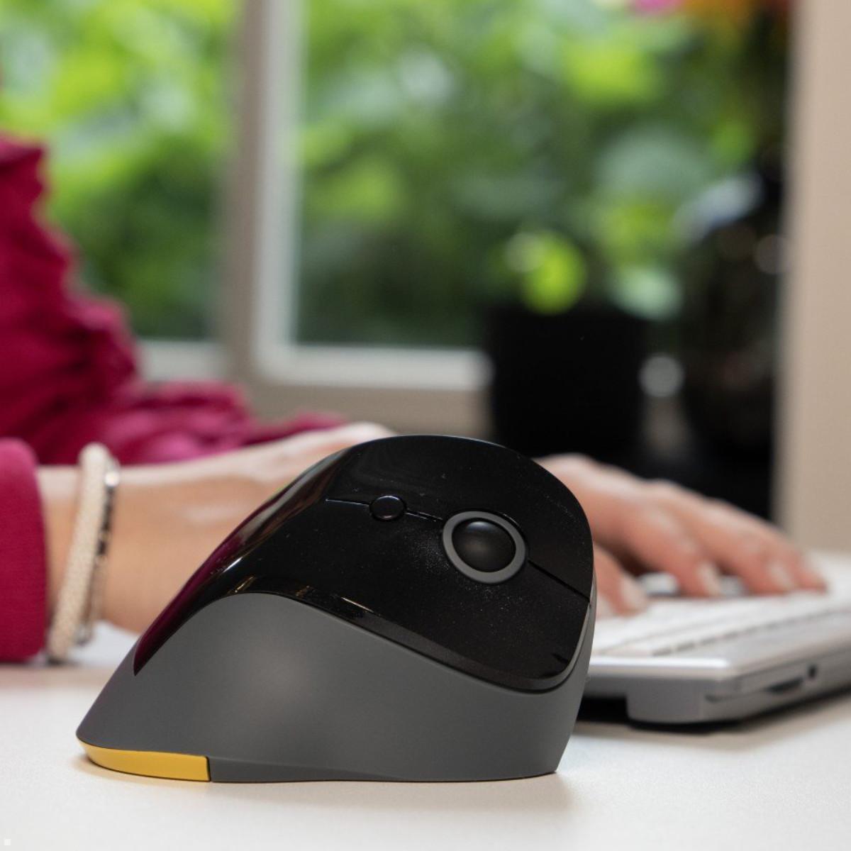 BakkerElkhuizen Vertical Mouse PRF Mouse wireless, Anwendungsbeispiel