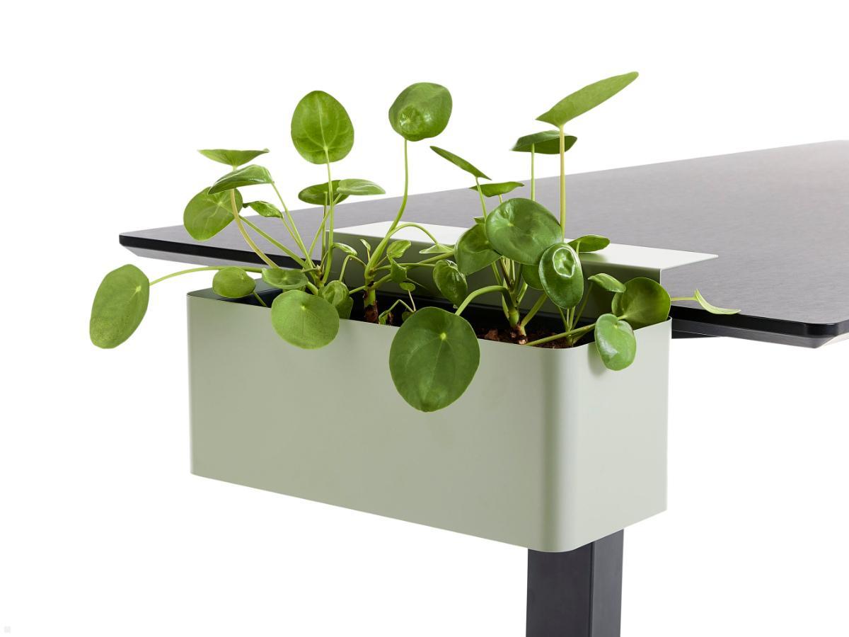 APTO FLOWERBOX Blumenkasten 397x194mm mit Tischklemmen, olivgrün APTO FLOWERBOX Blumenkasten 397x194mm mit Tischklemmen, olivgrün