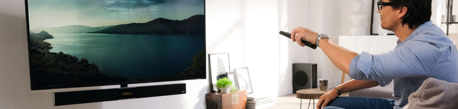 Panasonic TV Wandhalterung