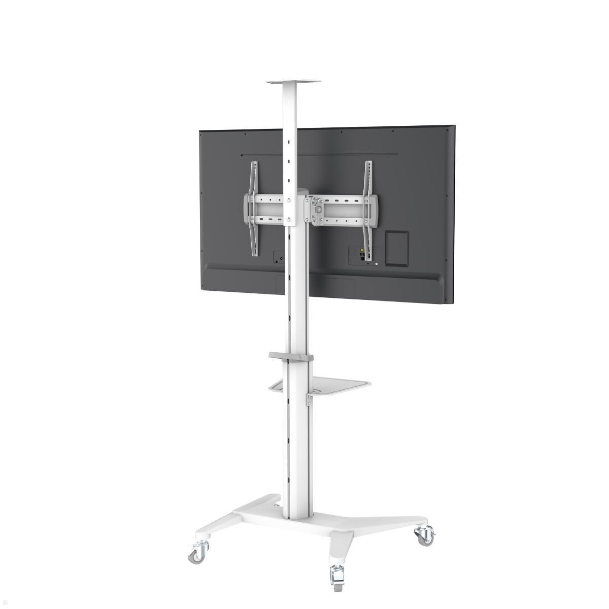 PureMounts PDS-0003C TV Ständer mit Rollen + Ablagen bis 70 Zoll mit Rollen PureMounts PDS-0003C TV Ständer mit Rollen + Ablagen bis 70 Zoll mit Rollen