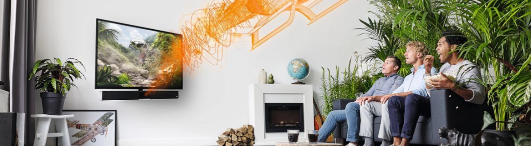 Heimkino Systeme - TV halterungen, Beamerhalter Heimkino Systeme - TV halterungen, Beamerhalter