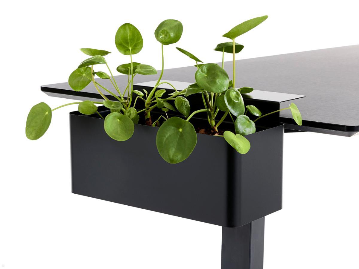 APTO FLOWERBOX Blumenkasten 397x194mm mit Tischklemmen, mattschwarz APTO FLOWERBOX Blumenkasten 397x194mm mit Tischklemmen, mattschwarz